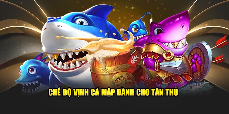 Chế độ vịnh cá mập dành cho tân thủ 