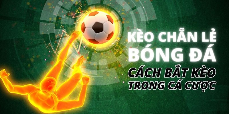 Bí kíp chơi chẵn lẻ đá banh hiệu quả theo cao thủ