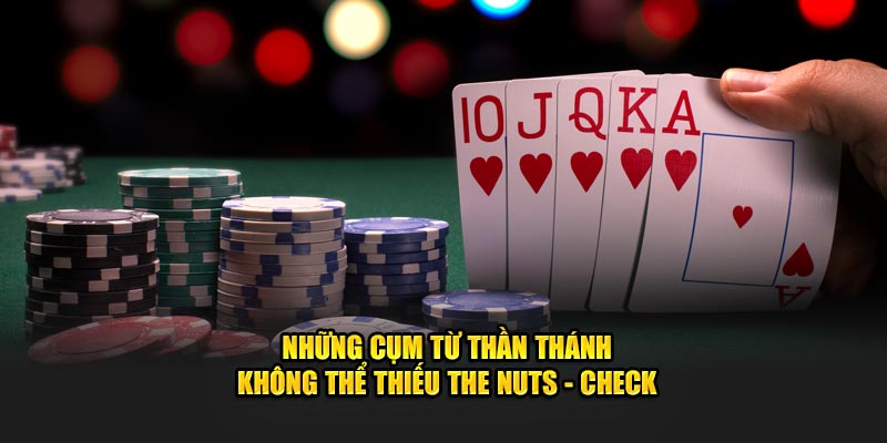 Những cụm từ thần thánh không thể thiếu The Nuts - Check